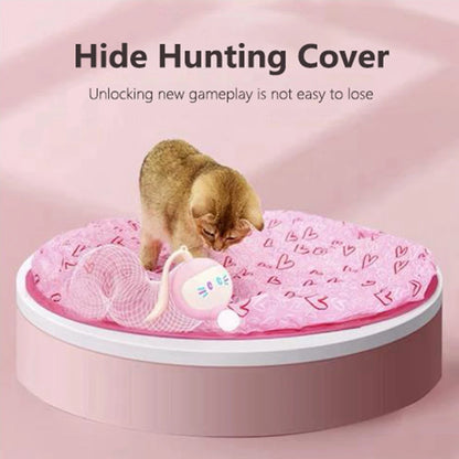 JUGUETE AUTOMATICO PARA GATOS